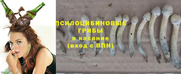 мескалин Абинск