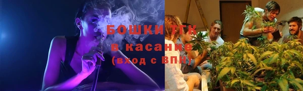 дурь Няндома